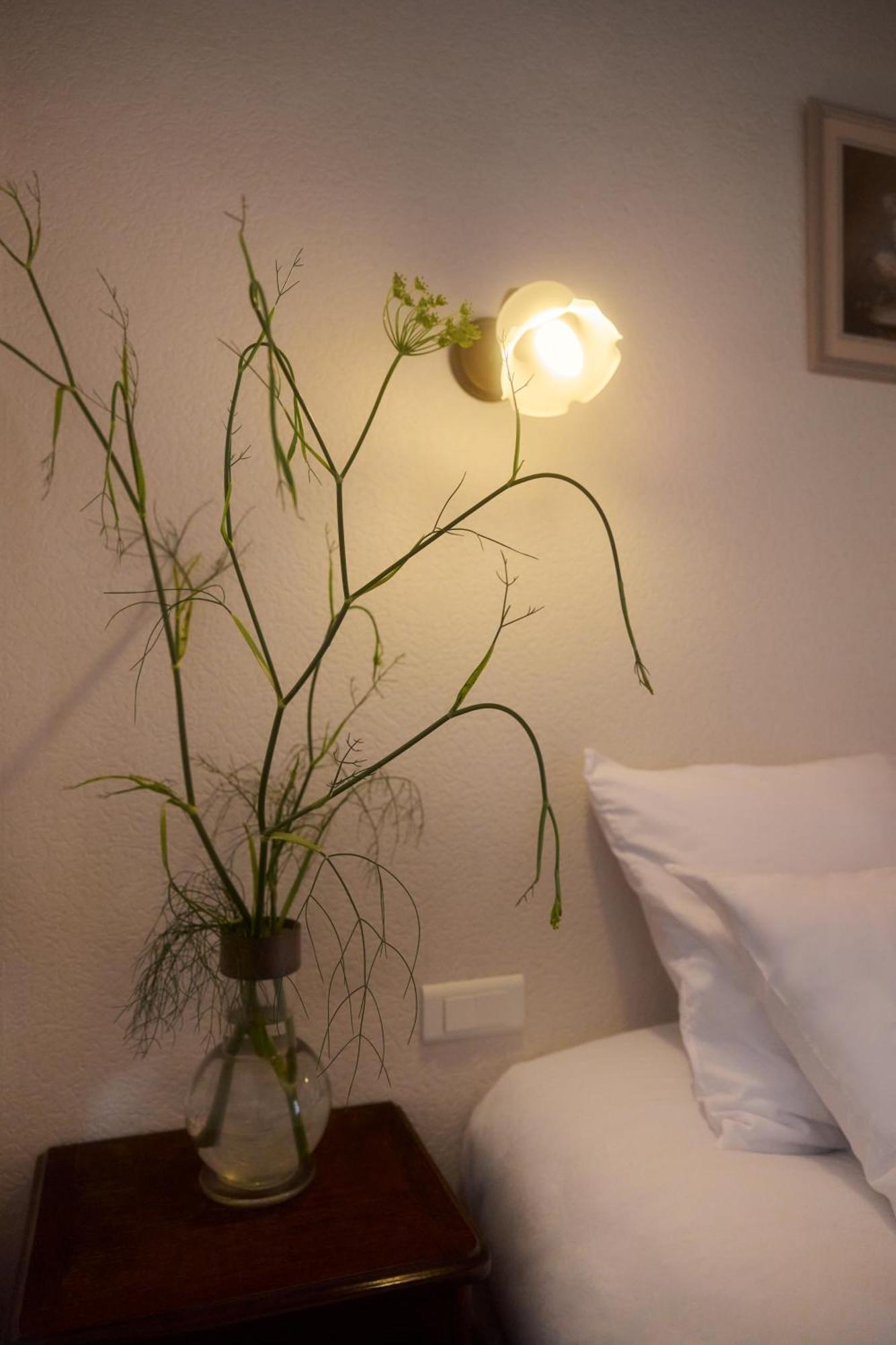 Hotel Restaurant Le Botaniste Prats-de-Mollo-la-Preste Eksteriør billede